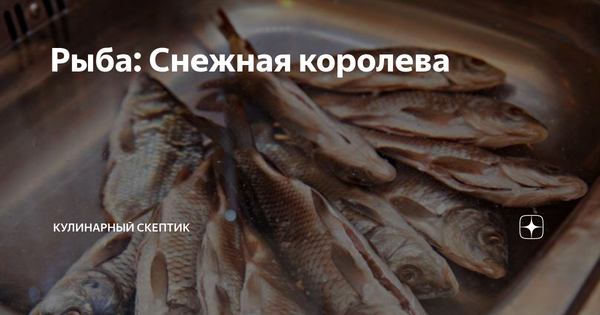 Какая рыба снежная. Рыба снежная. Рыба снежная угольная. Рыба снежная как выглядит. Рыба на снегу.