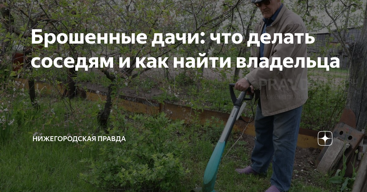 Брошенные дачи: что делать соседям и как найти владельца ...