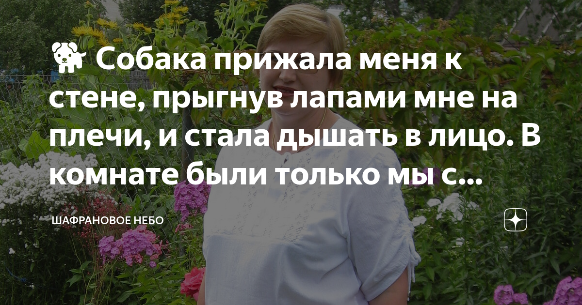 О как чудесно было снова твердо стоять на земле зарывшись лапами в настоящий мягкий мох