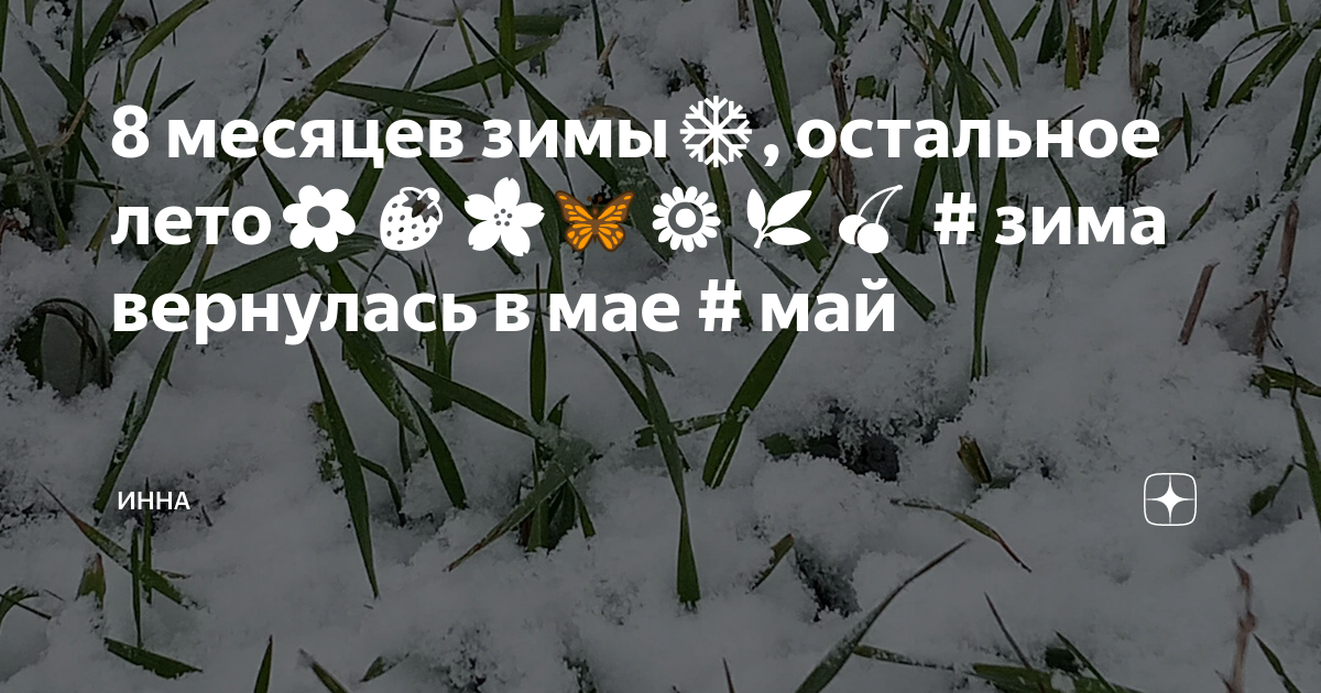 Как по английски будет кота зовут снежок. 10 месяцев зима остальное лето. Зима солнце деревня. Волга конаково бор зима. 10 месяцев зима остальное лето.