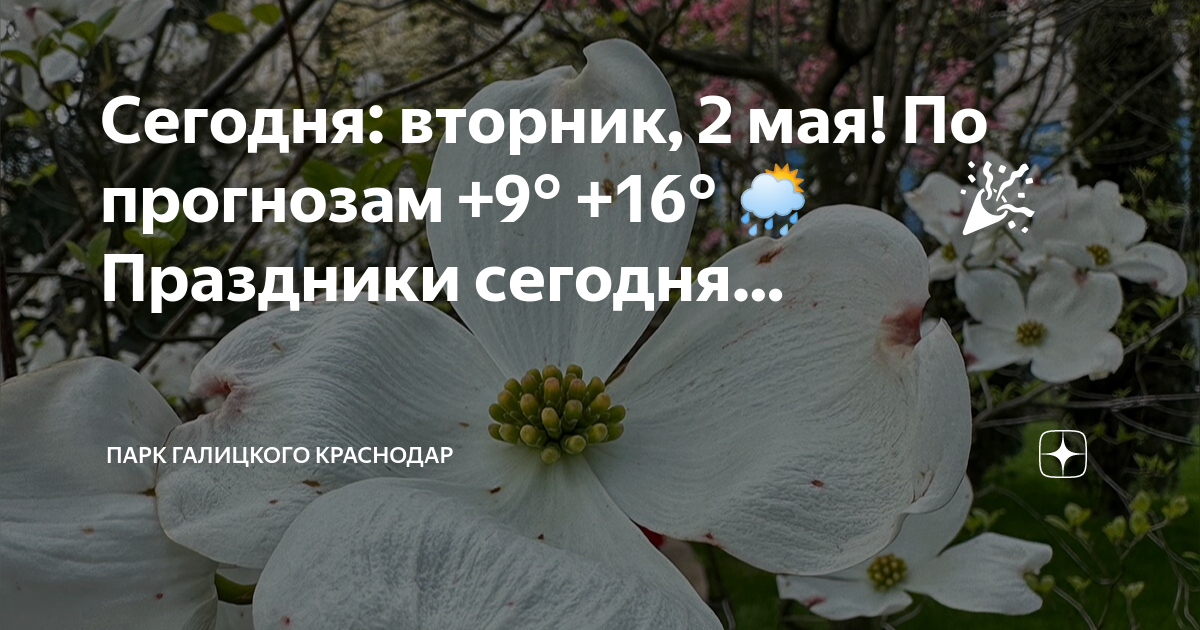 2 мая день ничегонеделания