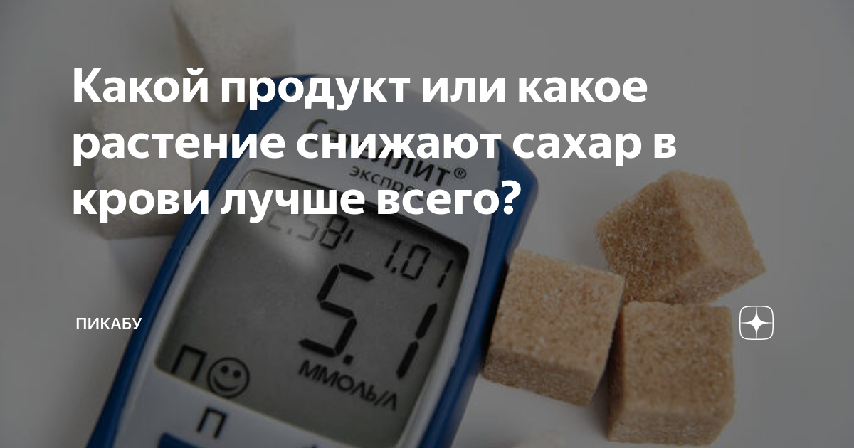 Какой продукт или какое растение снижают сахар в крови лучше всего ...