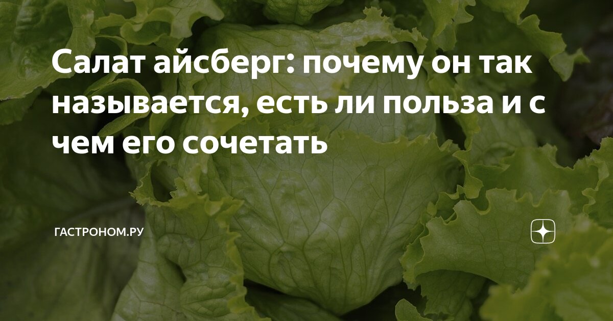 Салат айсберг: почему он так называется, есть ли польза и с чем его ...