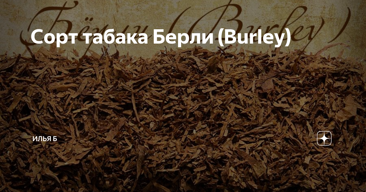 Хорошие сорта табаков. Махорка герцеговина флор. Хорошие сорта табаков. Хорошие сорта табаков. Табак курительный вирджиния 0,01г ц гавриш.