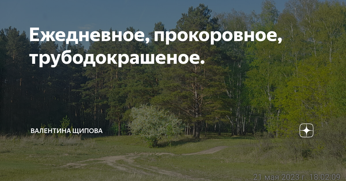Ежедневное, прокоровное, трубодокрашеное. | Валентина Щипова. Веселая ...