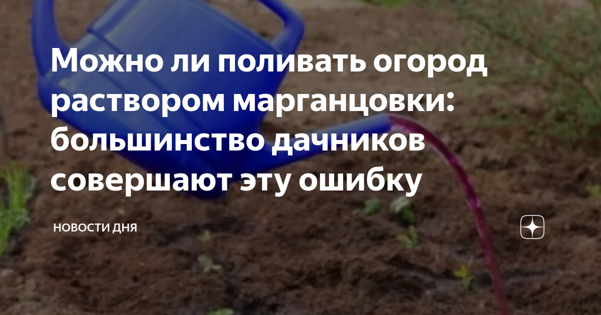 Что можно поливать раствором. Поливает огород раствором. Поливает томаты марганцовкой. Поля ассенизации используют для обеззараживания. Марганцовка при посадке помидор.