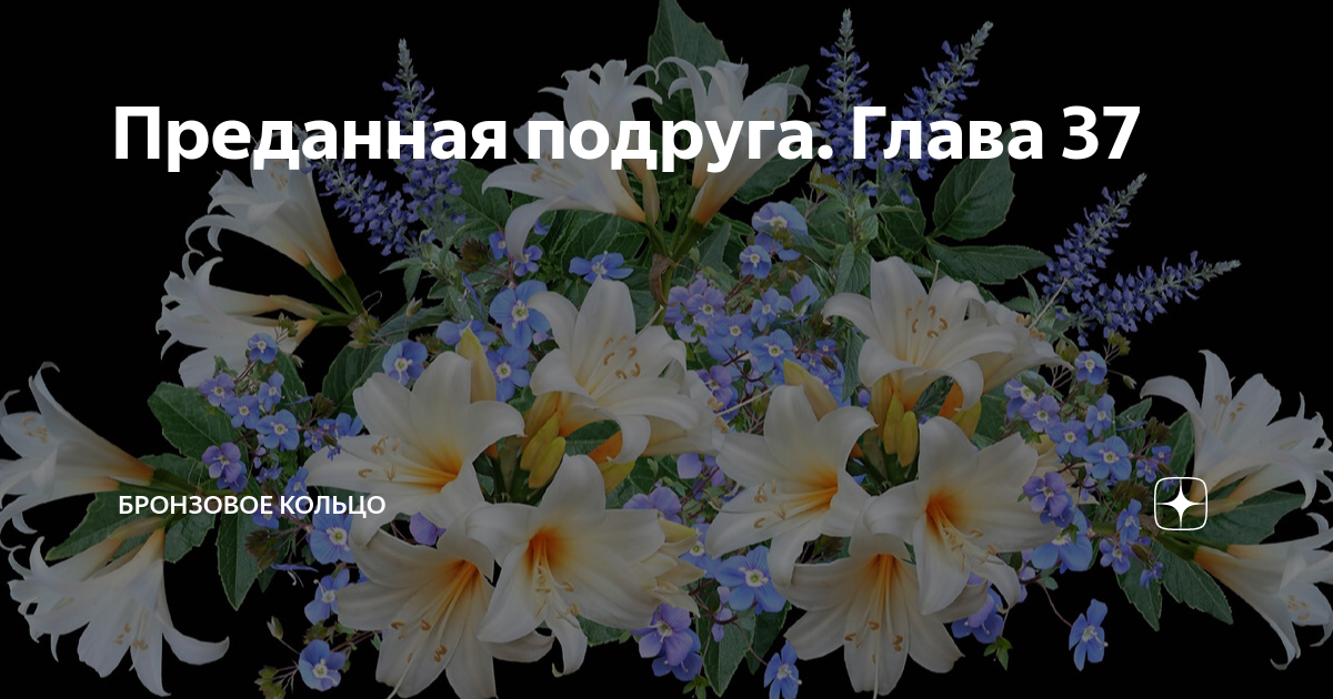 Преданная подруга. Глава 37 | Бронзовое кольцо | Дзен