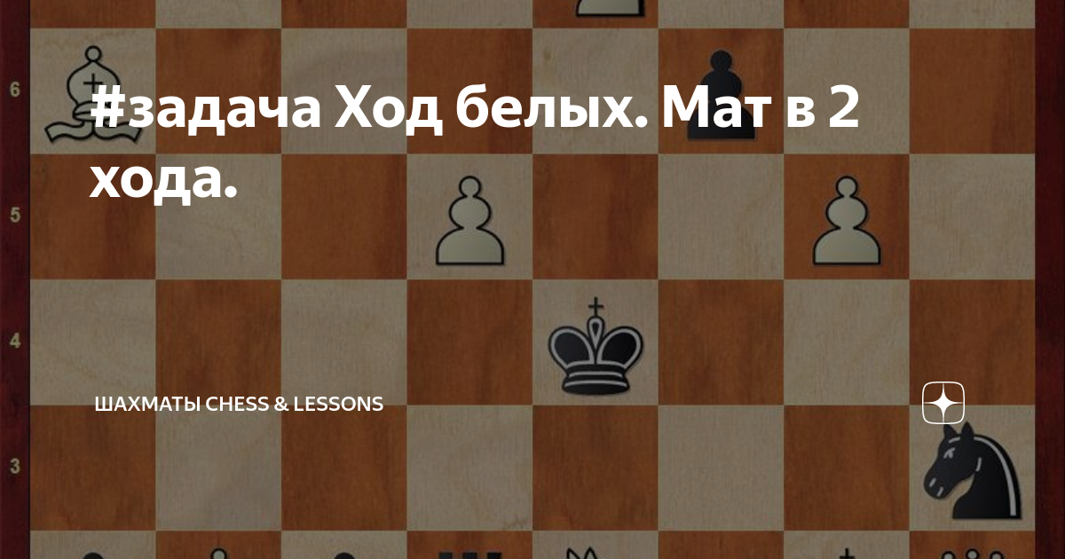Шахматные задачи проект