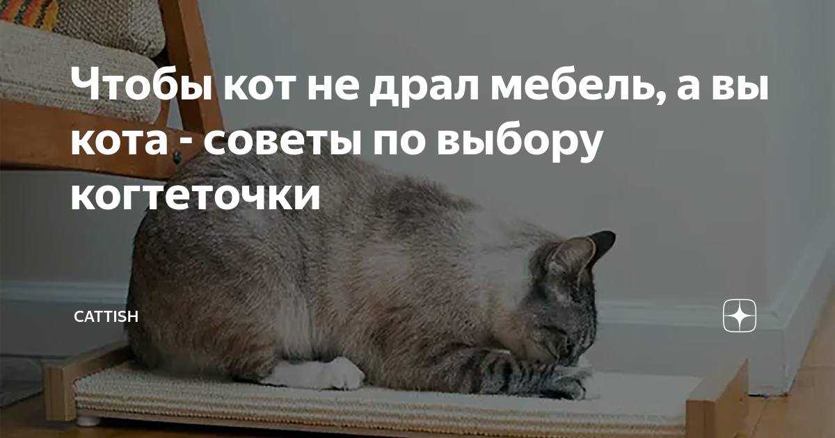 Чтобы кот не драл мебель