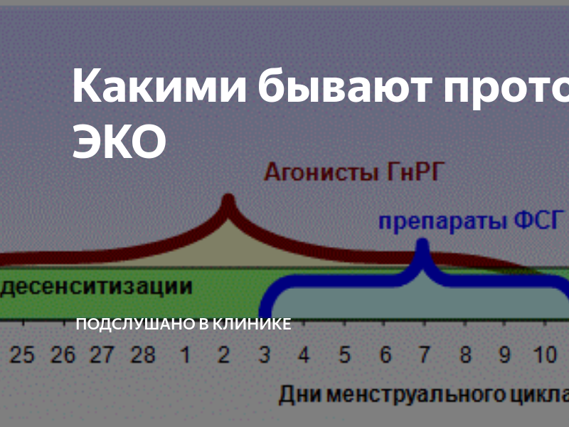 Удачный протокол. Короткий протокол эко по дням. Длинный протокол эко по дням схема с препаратами