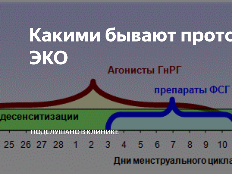 Форум короткий протокол. Короткий протокол эко по дням. Длинный и короткий протокол эко. Схема короткого протокола эко по дням. Длинный протокол эко по дням схема с препаратами.