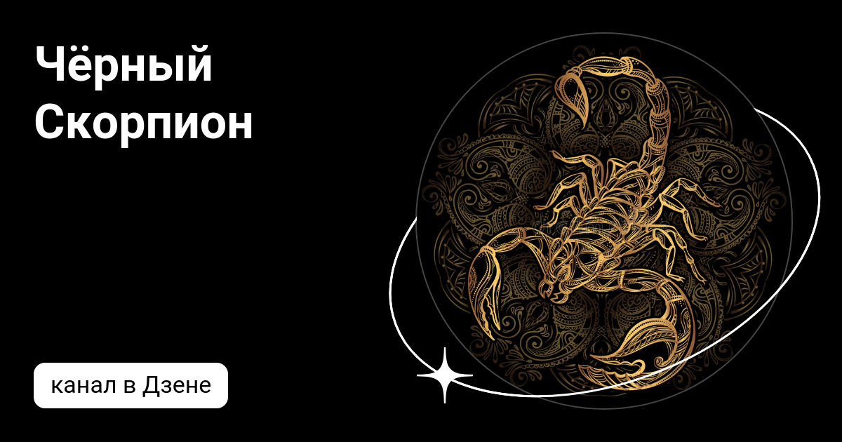 Черный скорпион дзен. Скорпион живой. Гетерометрус спинифер. Скорпион. Черный скорпион / black scorpion (1995).