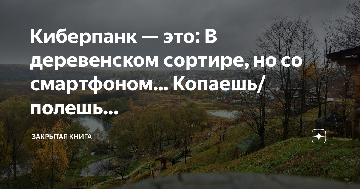 Киберпанк — это: В деревенском сортире, но со смартфоном... Копаешь ...