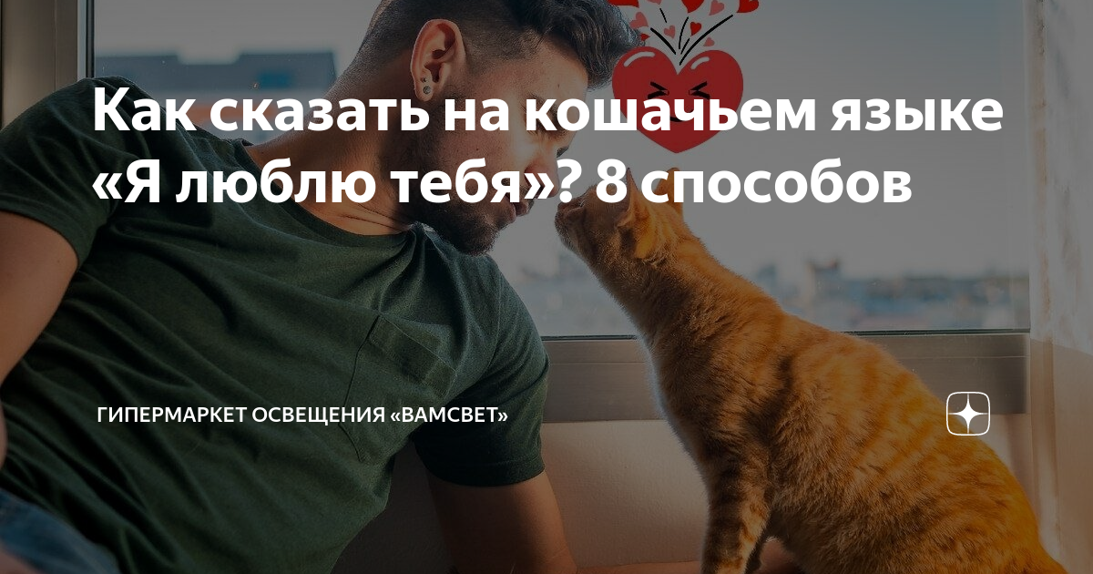 как будет на английском я очень люблю свою кошку