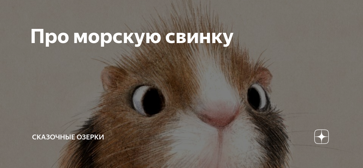 Про морскую свинку | Сказочные Озерки | Дзен