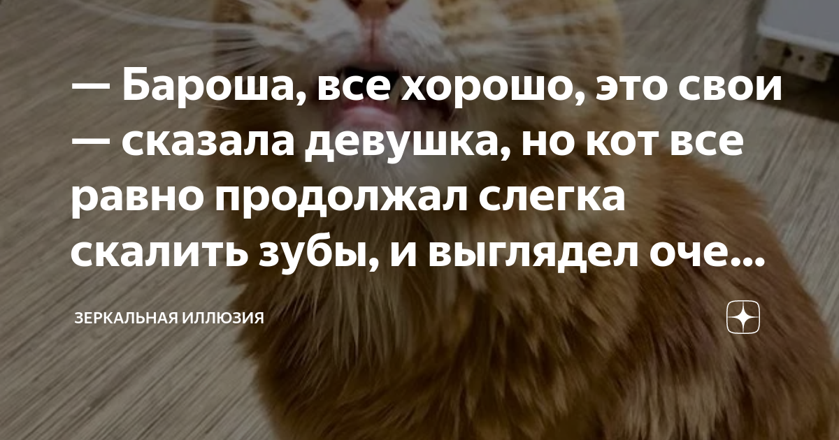 Бароша, все хорошо, это свои — сказала девушка, но кот все равно ...