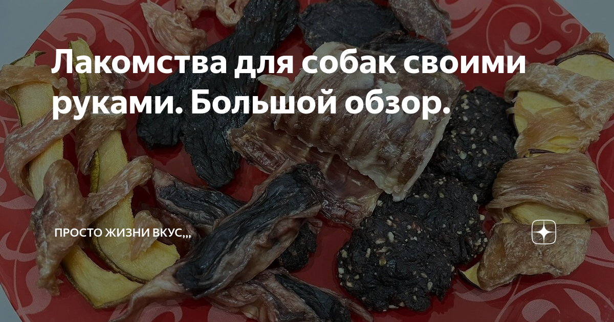 Пасхальные вкусняшки для собак своими руками: рецепты от Адаптил