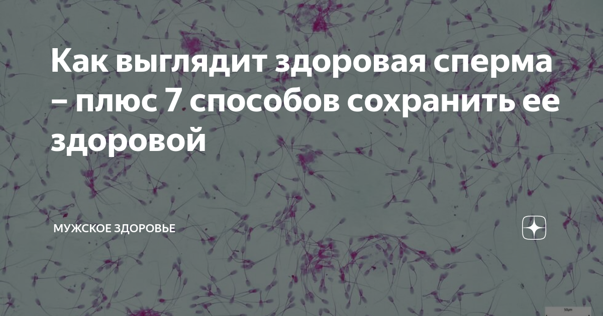 Эмбриолог объяснила, как по цвету, объему и вкусу определить качество спермы дома - lys-cosmetics.ru