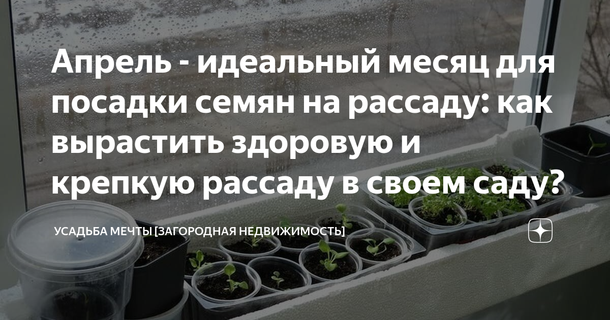 Рассада. Цветы на рассаду в апреле. Месяца посадки семян. Благоприятные дни для рассады.