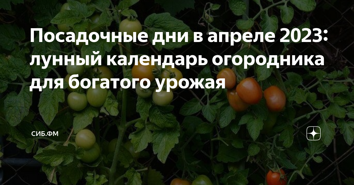 Лунный календарь садовода на апрель 2024 г. Посадочные дни. Посадочные дни по лунному календарю. Посадочные дни в апреле. Лунный календарь на апрель 2023 года.