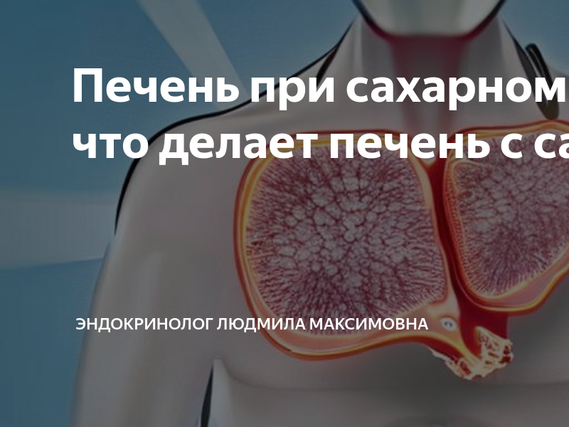 Печень при сахарном диабете: что делает печень с сахаром | Эндокринолог ...