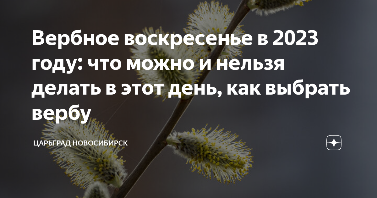 Что нельзя делать в ноябре 2023 года