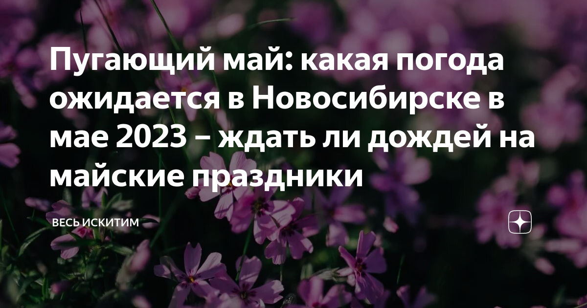 погода на март месяц город новосибирск