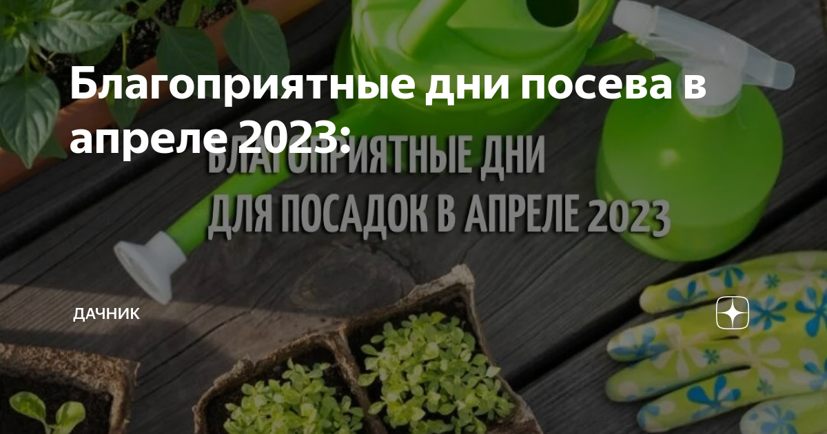 Посевные дни в апреле 2024г