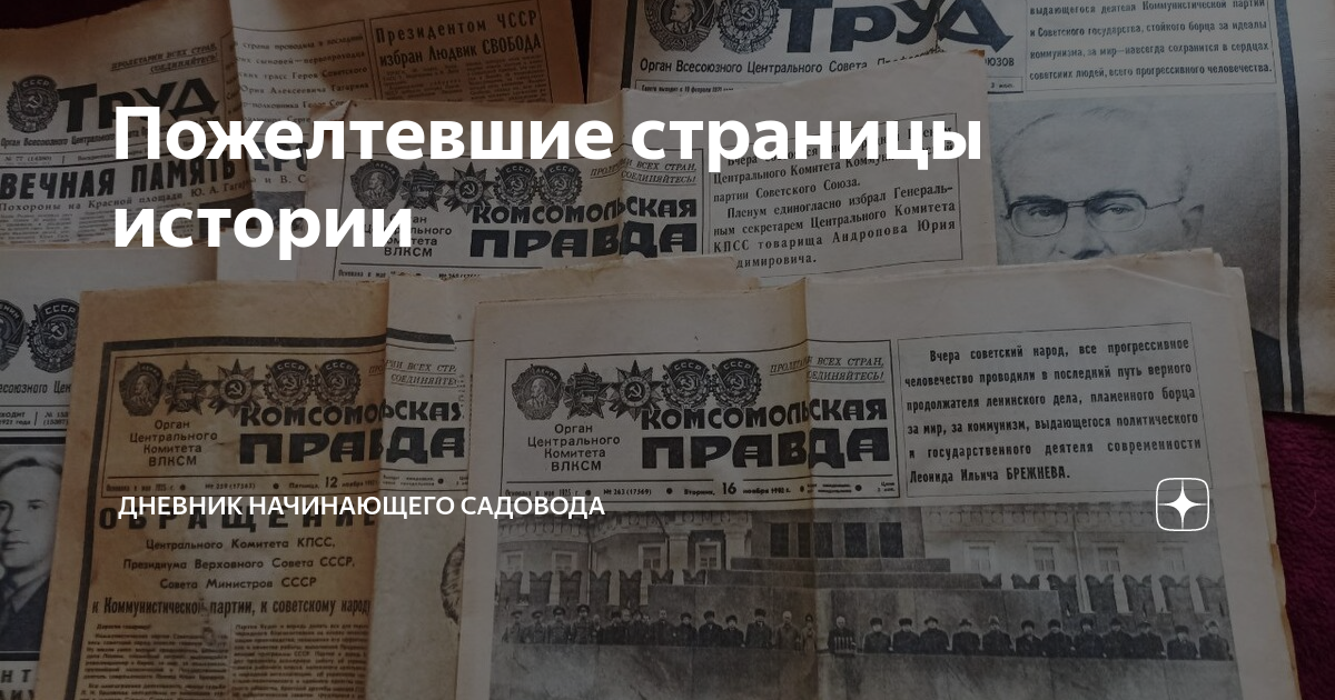 Пожелтевшие страницы истории | Дневник начинающего садовода | Дзен