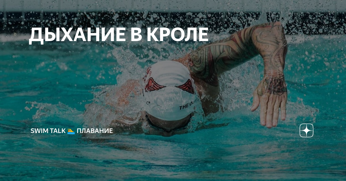 ДЫХАНИЕ В КРОЛЕ | Константин Колюх-тренер по плаванию🏊‍♂️ | Дзен