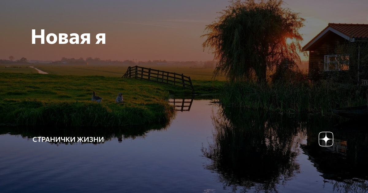 Новая я | Странички жизни | Дзен