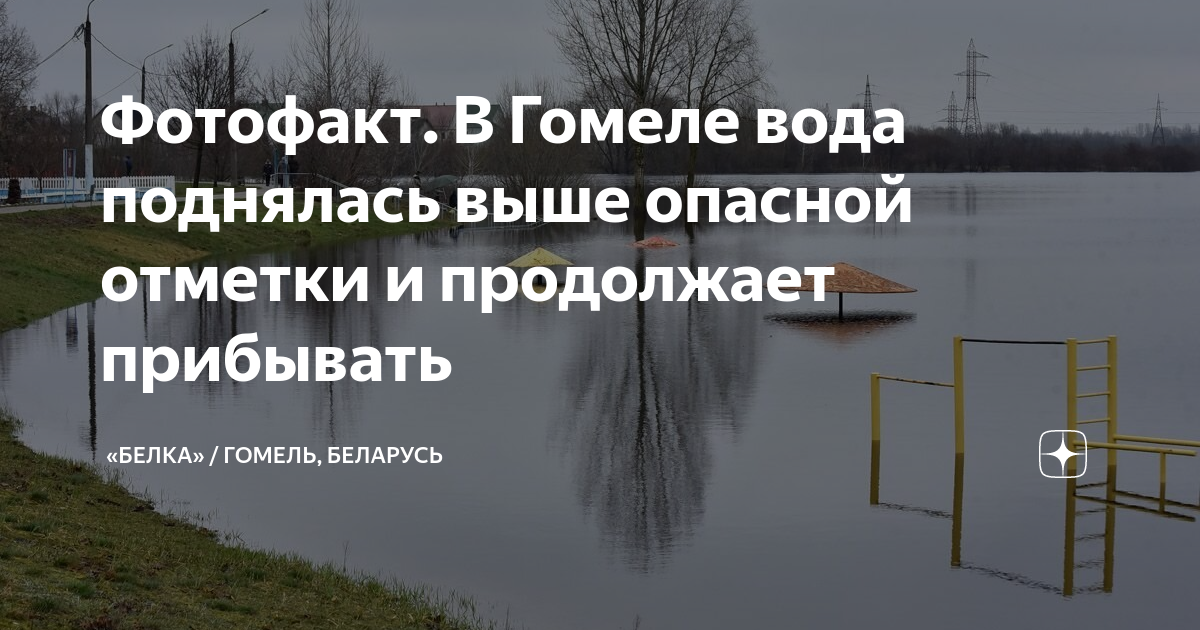 Вода в гомеле. Уровень воды Гомель в Соже. Уровень воды поднимается. Дамбы в Беларуси. Уровень воды в Гомеле на сегодня
