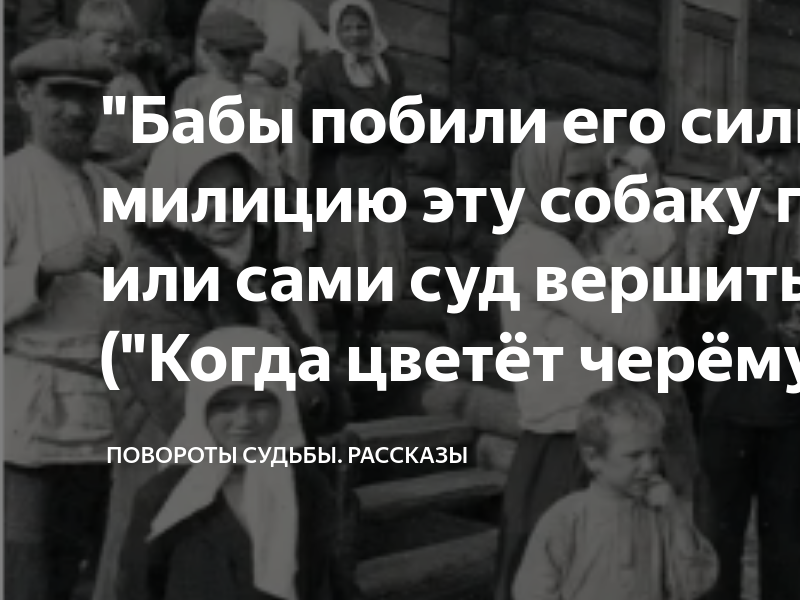 Повороты судьбы рассказы дзен читать. Повороты судьбы рассказы дзен читать