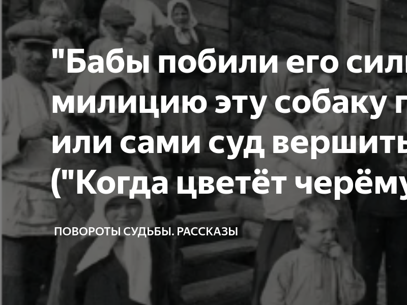 Рассказ судьба дзен 2 2. Повороты судьбы дзен.