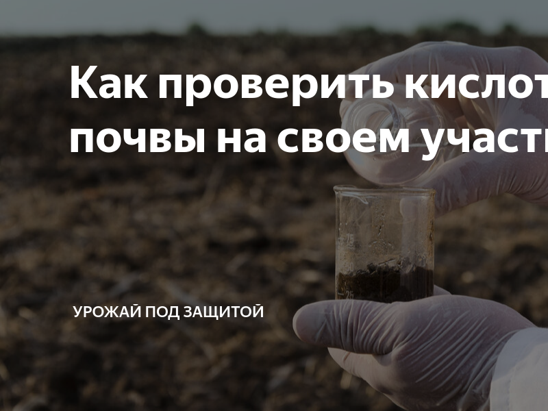 Как проверить кислотность почвы на своем участке | Урожай под защитой ...