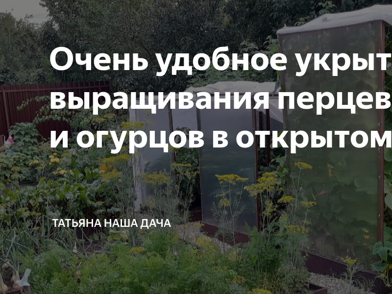 Очень удобное укрытие для выращивания перцев, томатов и огурцов в ...