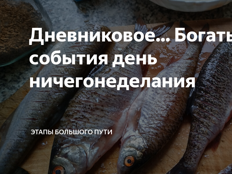 Дневниковое... Богатый на события день ничегонеделания | Этапы большого ...