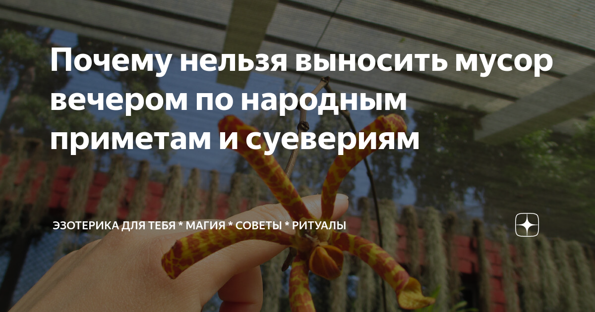 вечером мусор не выносят. почему нельзя выкидывать мусор вечером. почему нельзя выносить мусор вечером. нельзя выносить мусор вечером примета. почему нельзя выносить вечером.