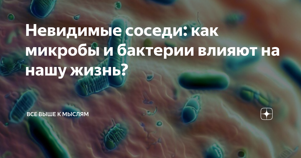 Хорошие бактерии. Бактерии на теле человека. От бактерии к человеку. Микробы на теле человека.