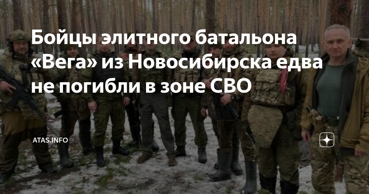 Добровольческий отряд вега. Отряд вег. Отряд вега новосибирск. Добровольческий отряд вега. Добровольческий отряд вега.