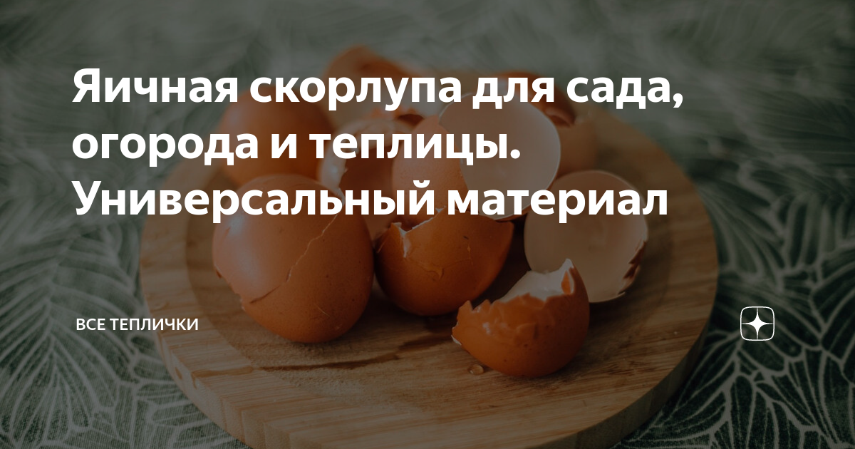 Яичная скорлупа для сада, огорода и теплицы. Универсальный материал ...