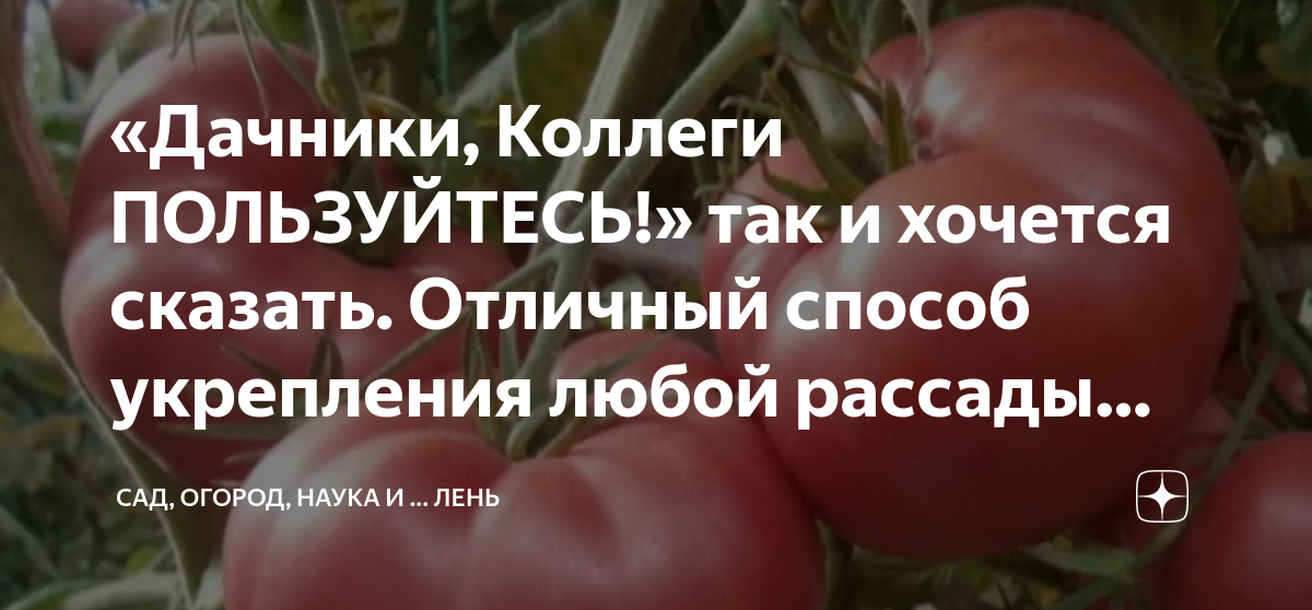 «Дачники, Коллеги ПОЛЬЗУЙТЕСЬ!» так и хочется сказать. Отличный способ ...