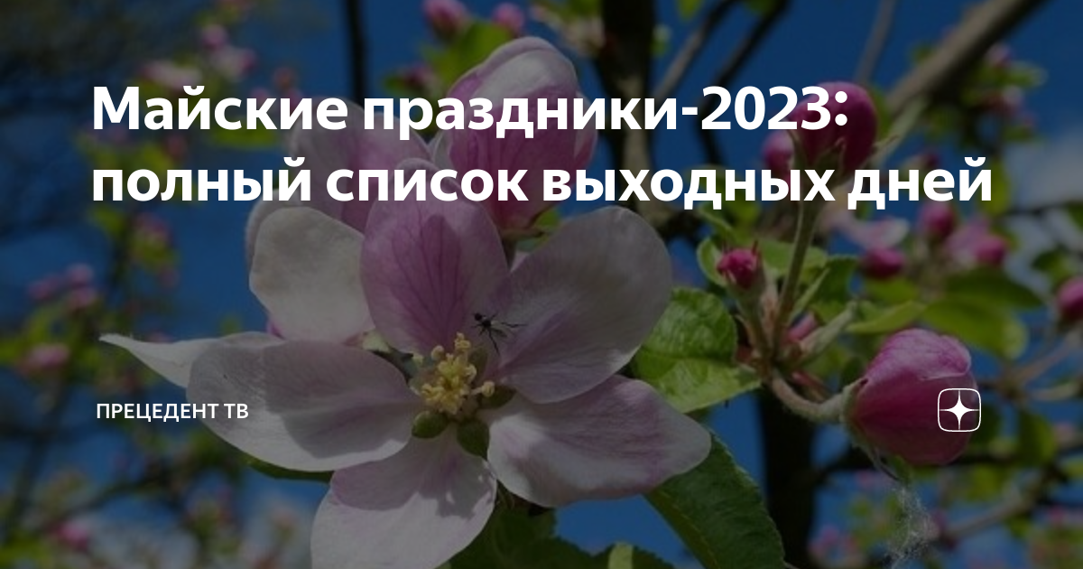 Майские выходные в 2023 году. Майские выходные. Длинные майские праздники. Майские праздники 2023. Выходные на майские праздники.