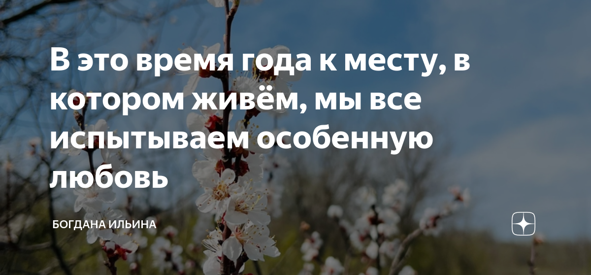 Богдана ильина космы