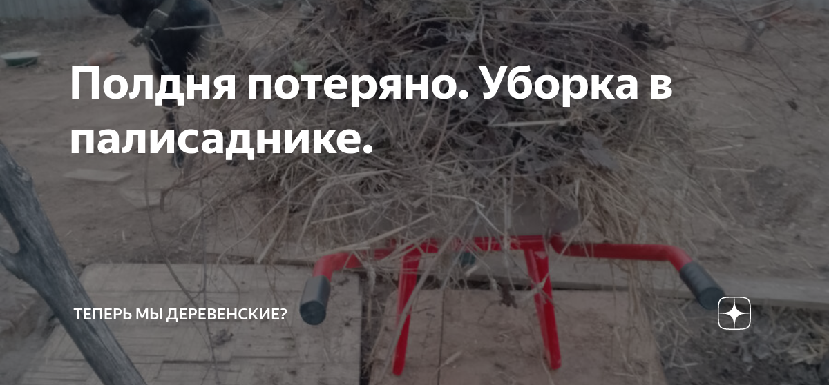 Полдня потеряно. Уборка в палисаднике. | Eлкины в деревне | Дзен