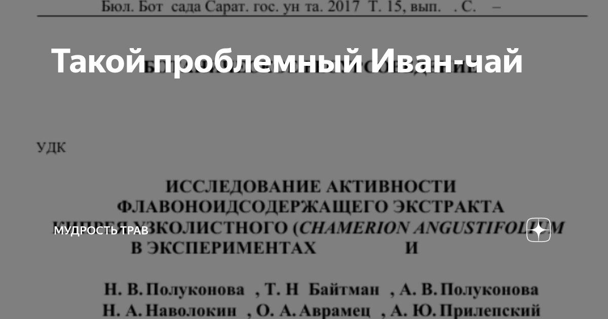 Такой проблемный Иван-чай | Мудрость Природы | Дзен