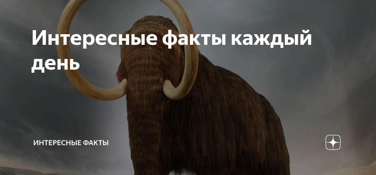 Интересные факты каждый день | Интересные факты | Дзен