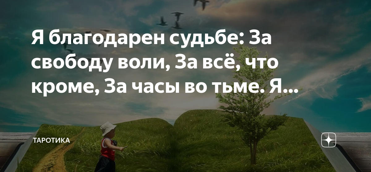 Судьба свобода воли