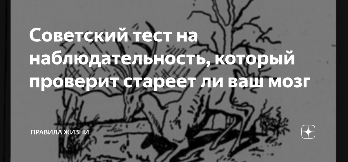 Советский тест на наблюдательность, который проверит стареет ли ваш ...