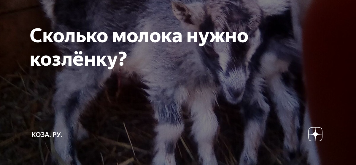 сколько молока нужно для новорожденного